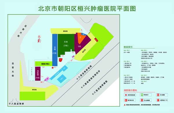 捅女生鸡鸡的网站北京市朝阳区桓兴肿瘤医院平面图